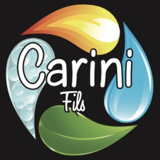 CARINI fils 